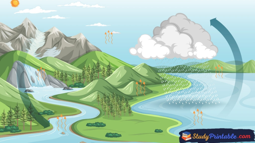 Paragraph on Water Cycle